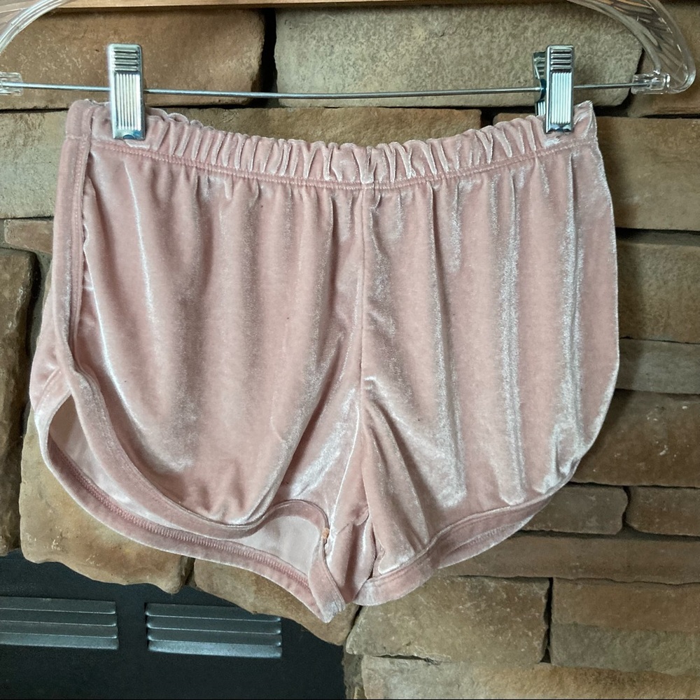 Brandy Melville Velvet Shorts